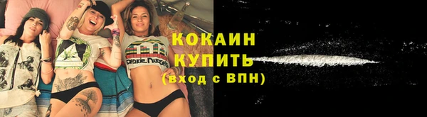 шишки Переславль-Залесский