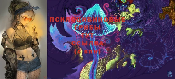 спайс Покровск